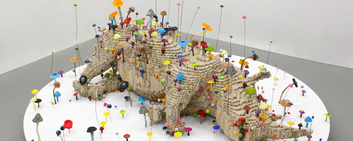 Shawn Smith: Entangled Ecologies